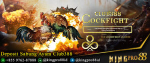 Deposit Sabung Ayam Club388