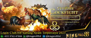 Login Club388 Sabung Ayam Terpercaya 2023